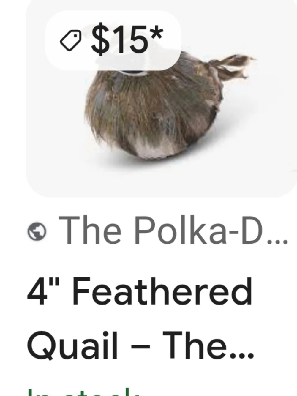 N/A adorable feathered
